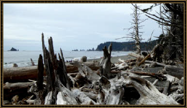 Rialto Beach