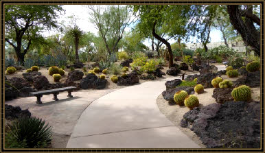 Ethel M Botanical Cactus Garden