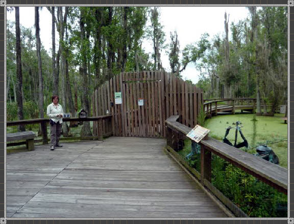 Eingangstor zum Audubon Swamp Garden