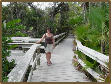 Mahogany Hammock Trail