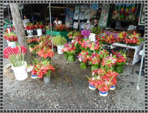 Blumenstand - Farmers Markt in Hilo
