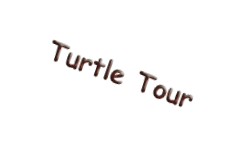 Turtle Tour