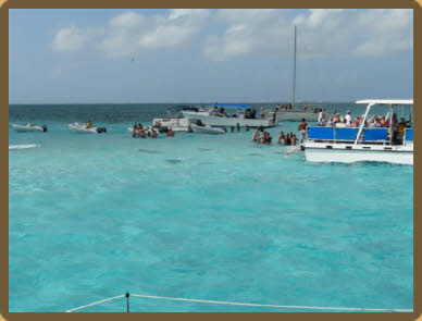 Stingray City