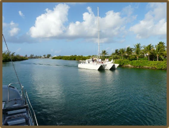 Catamaran Sail & Stingray Tour