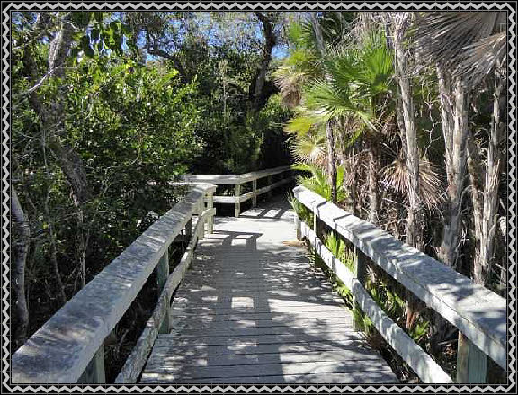 Mahogany Hammock Trail