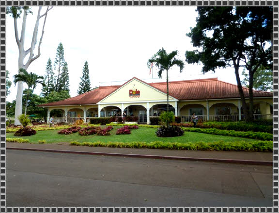 Dole Plantation