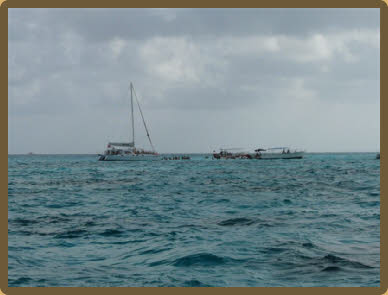 Stingray City